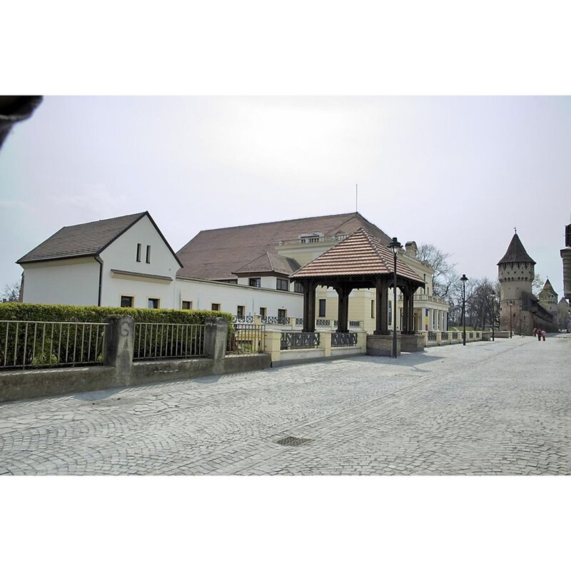 Tondach Solzi Clasic Sibiu